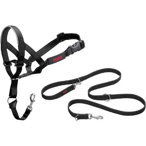 Best Collar For Leash Reactive Dogs-Useful In 2024