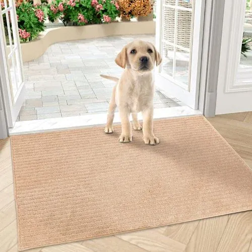 Best Dirt Trapping Door Mats For Dogs | 2024 Guide