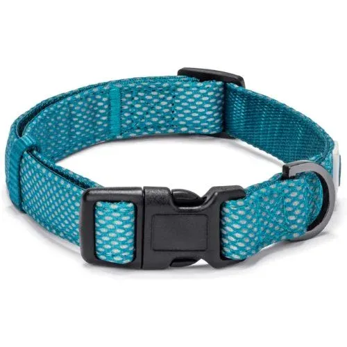 Best Dog Collar For Long Hair-Ultimate Guide