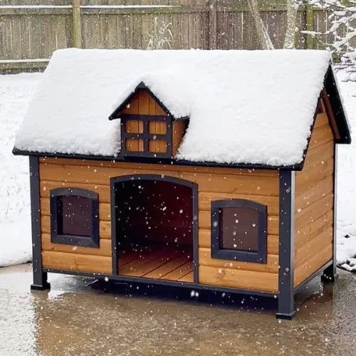 Best Insulation For Dog House During Winter Season
