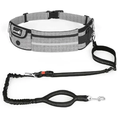 Best Dog Collar For Long Hair-Ultimate Guide