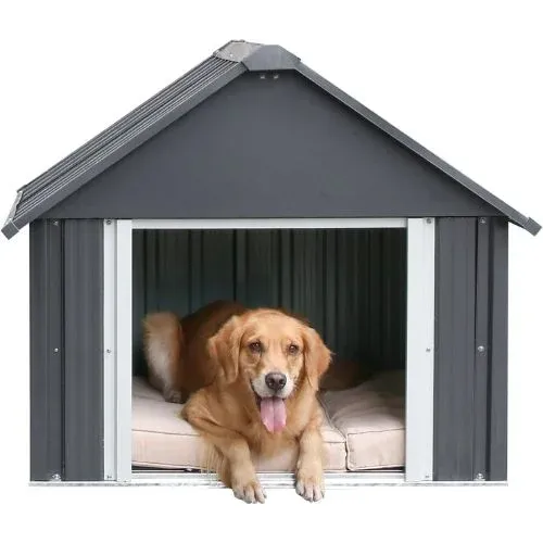Best Outdoor Heated Dog House During Winter Season