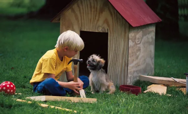 How To Build A Dog House For Cold Weather