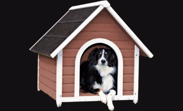 How To Build A Heated Dog House